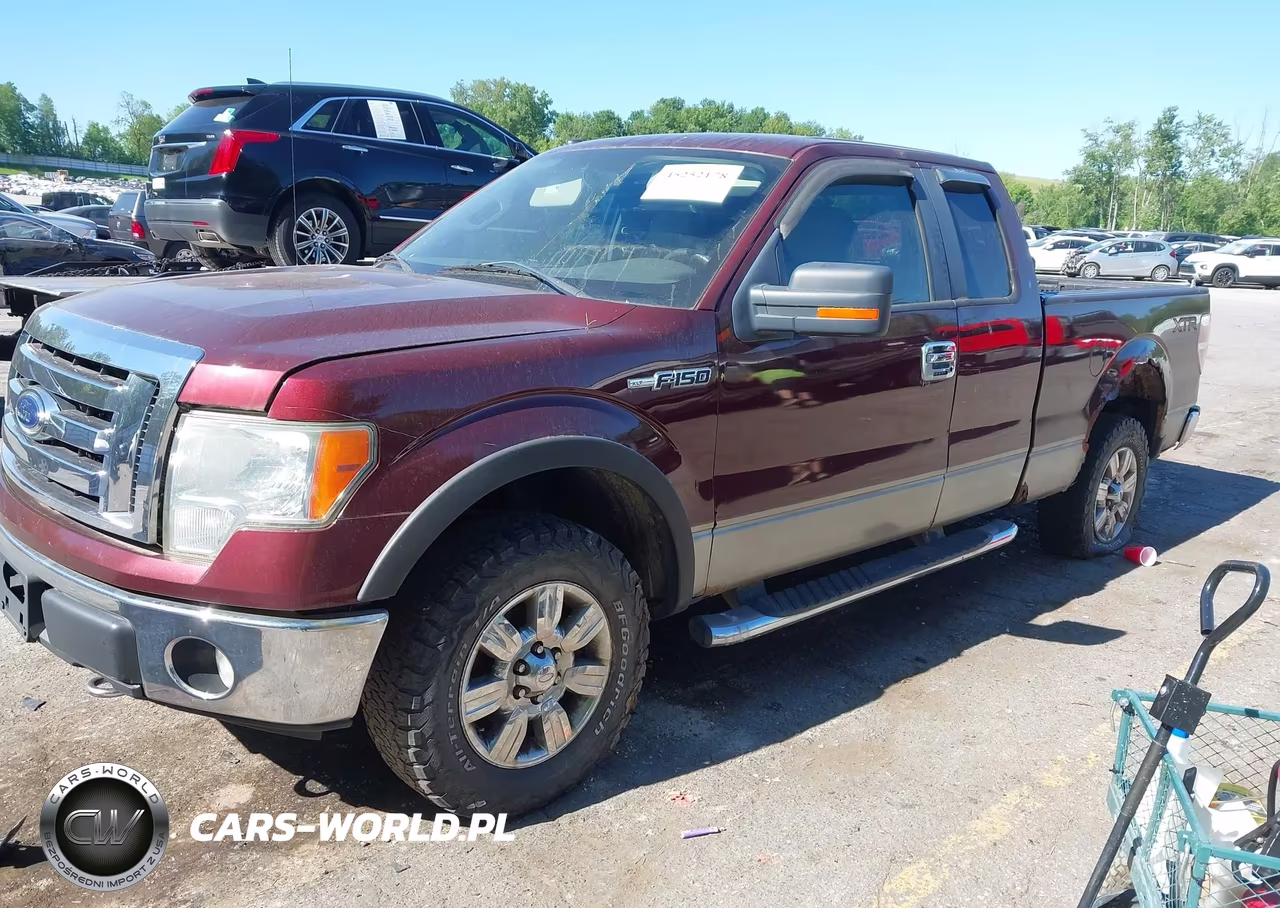 2009 Ford F-150 Stx-Xl-Xlt VIN:1FTRX14849FB32925 - 2