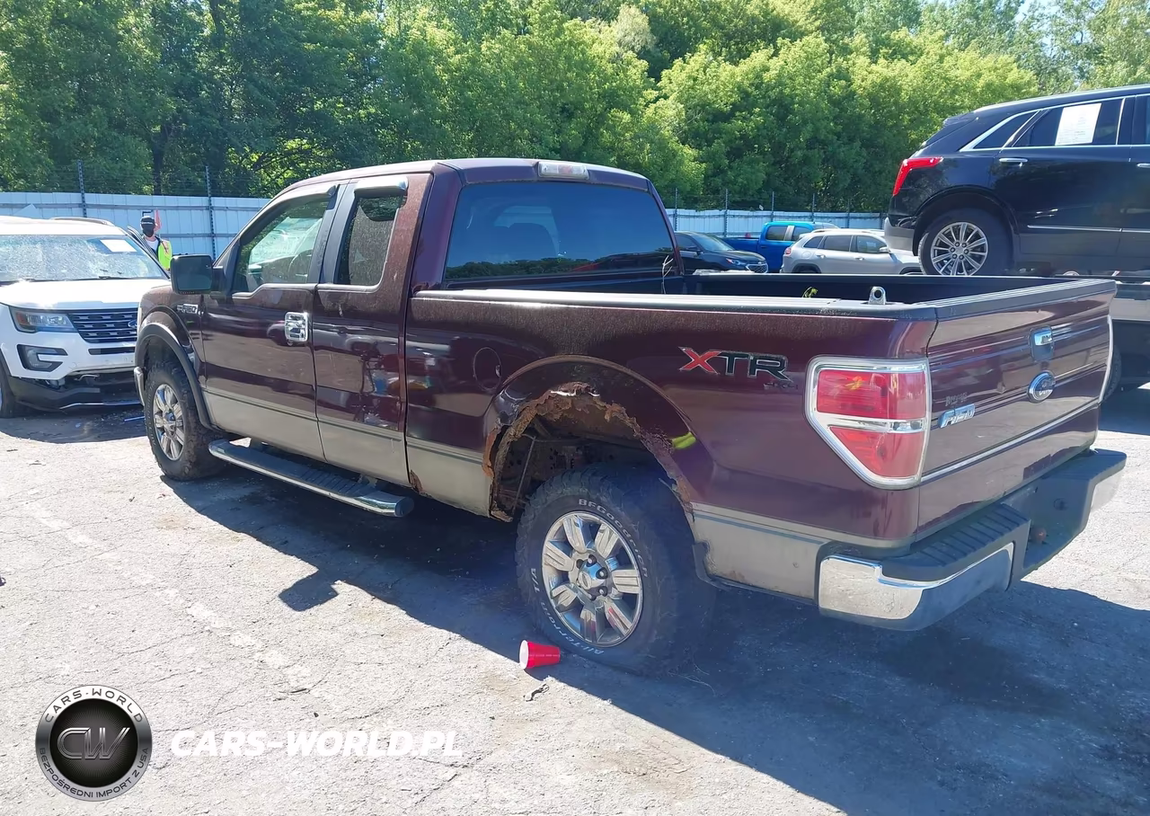 2009 Ford F-150 Stx-Xl-Xlt VIN:1FTRX14849FB32925 - 3