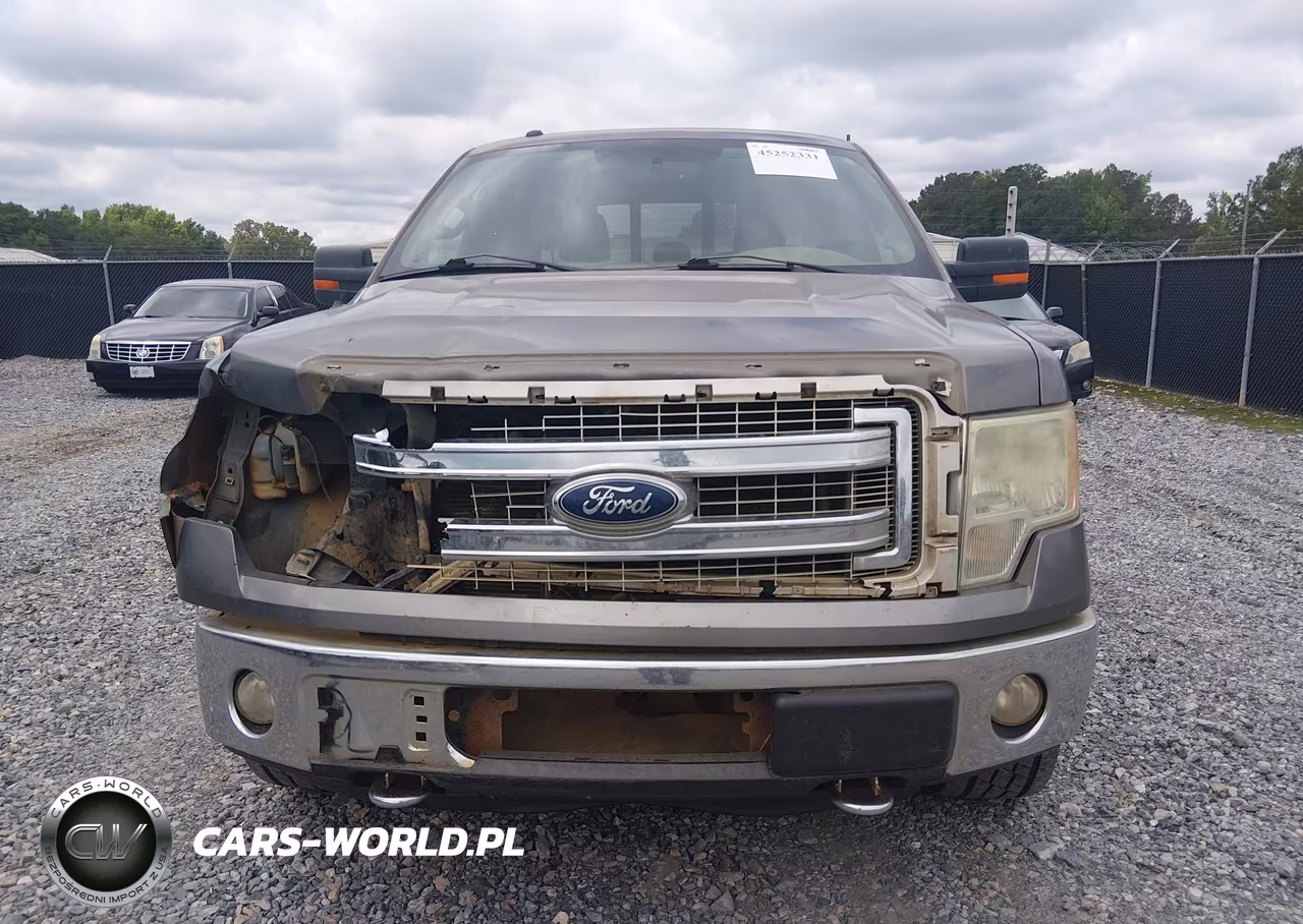 2013 Ford F-150 Xlt VIN:1FTFW1EF4DFD74643 - 12