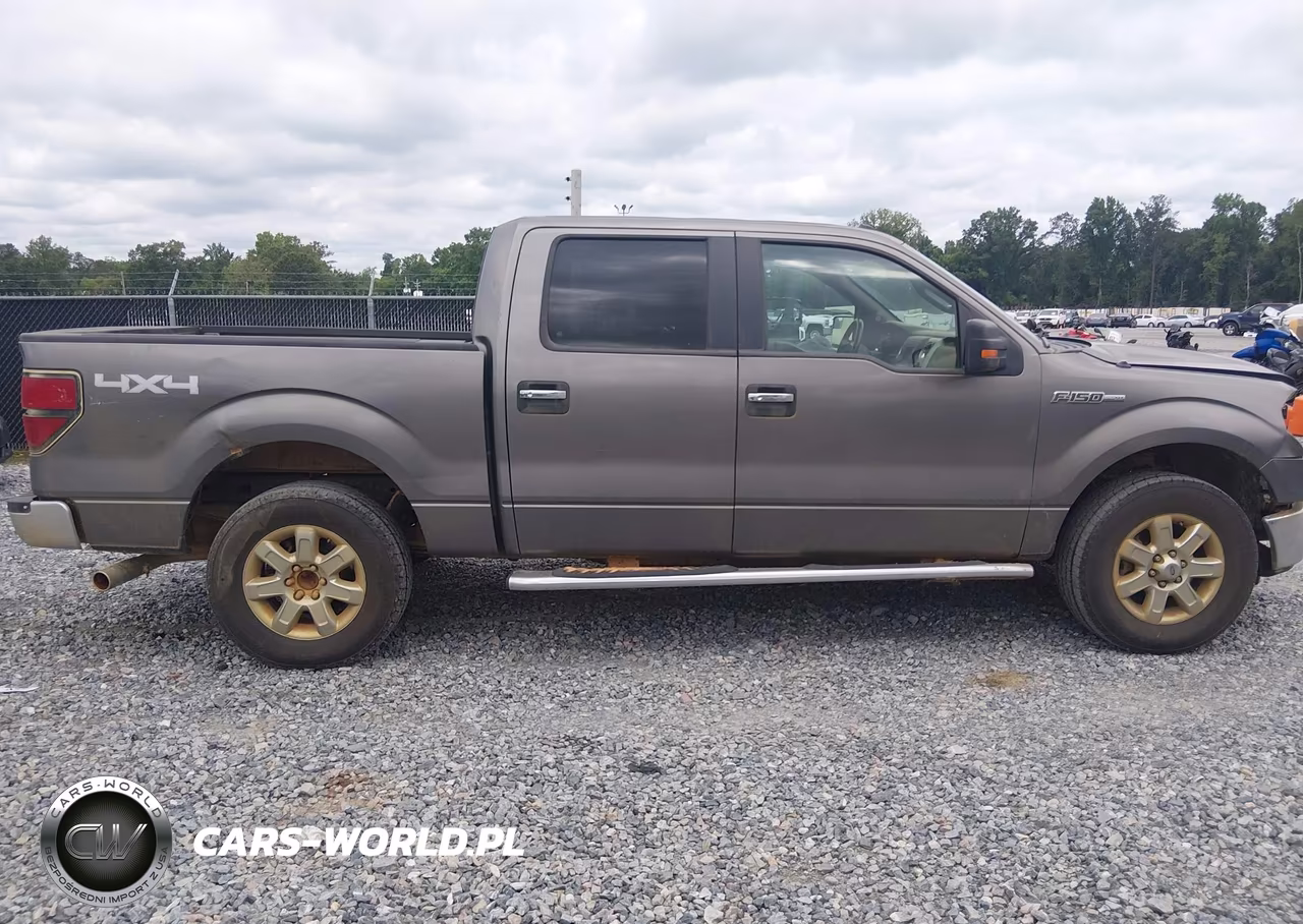 2013 Ford F-150 Xlt VIN:1FTFW1EF4DFD74643 - 13