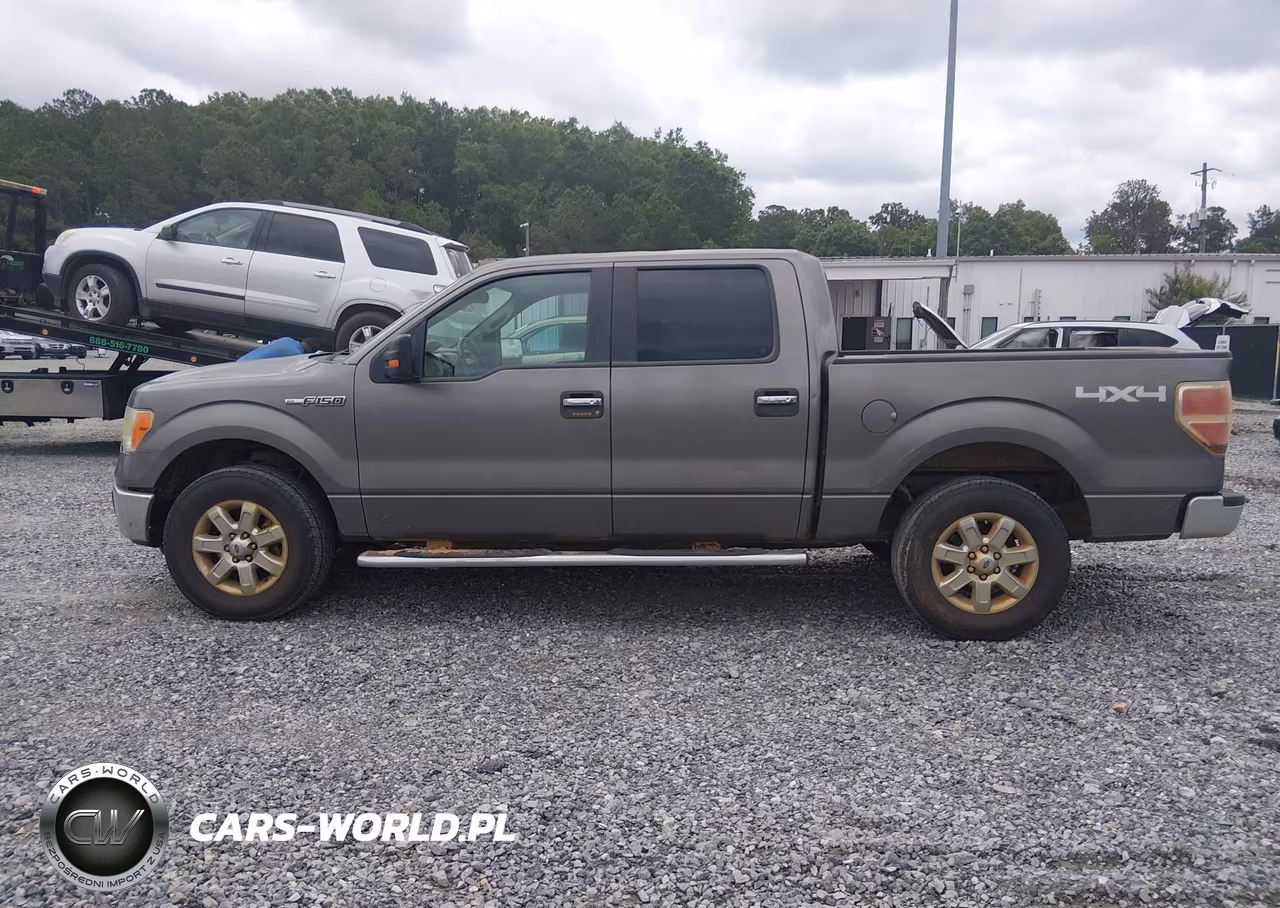 2013 Ford F-150 Xlt VIN:1FTFW1EF4DFD74643 - 14