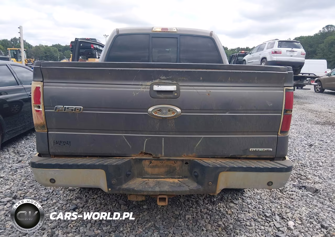2013 Ford F-150 Xlt VIN:1FTFW1EF4DFD74643 - 16