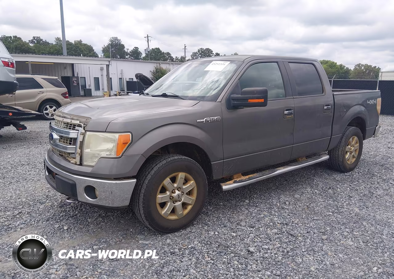 2013 Ford F-150 Xlt VIN:1FTFW1EF4DFD74643 - 2