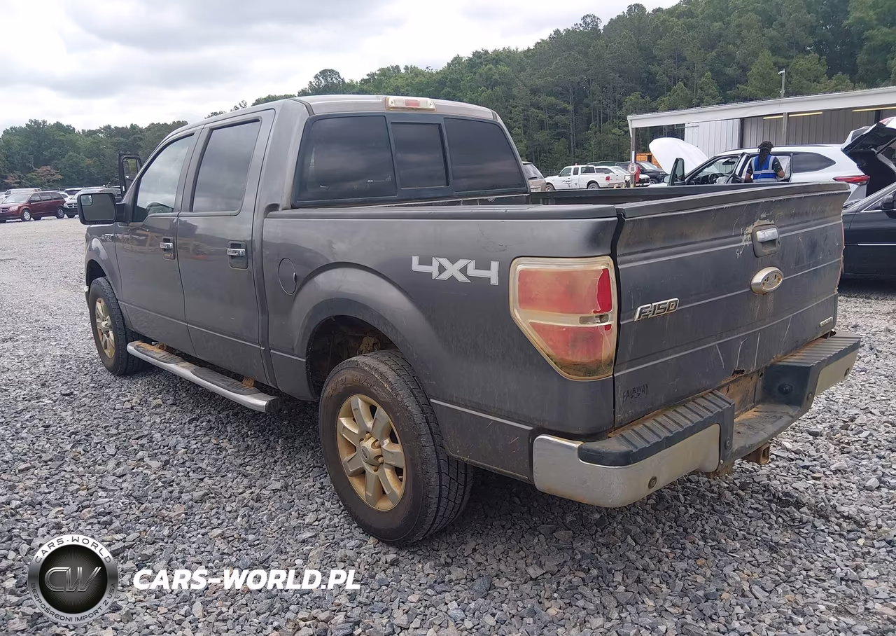2013 Ford F-150 Xlt VIN:1FTFW1EF4DFD74643 - 3