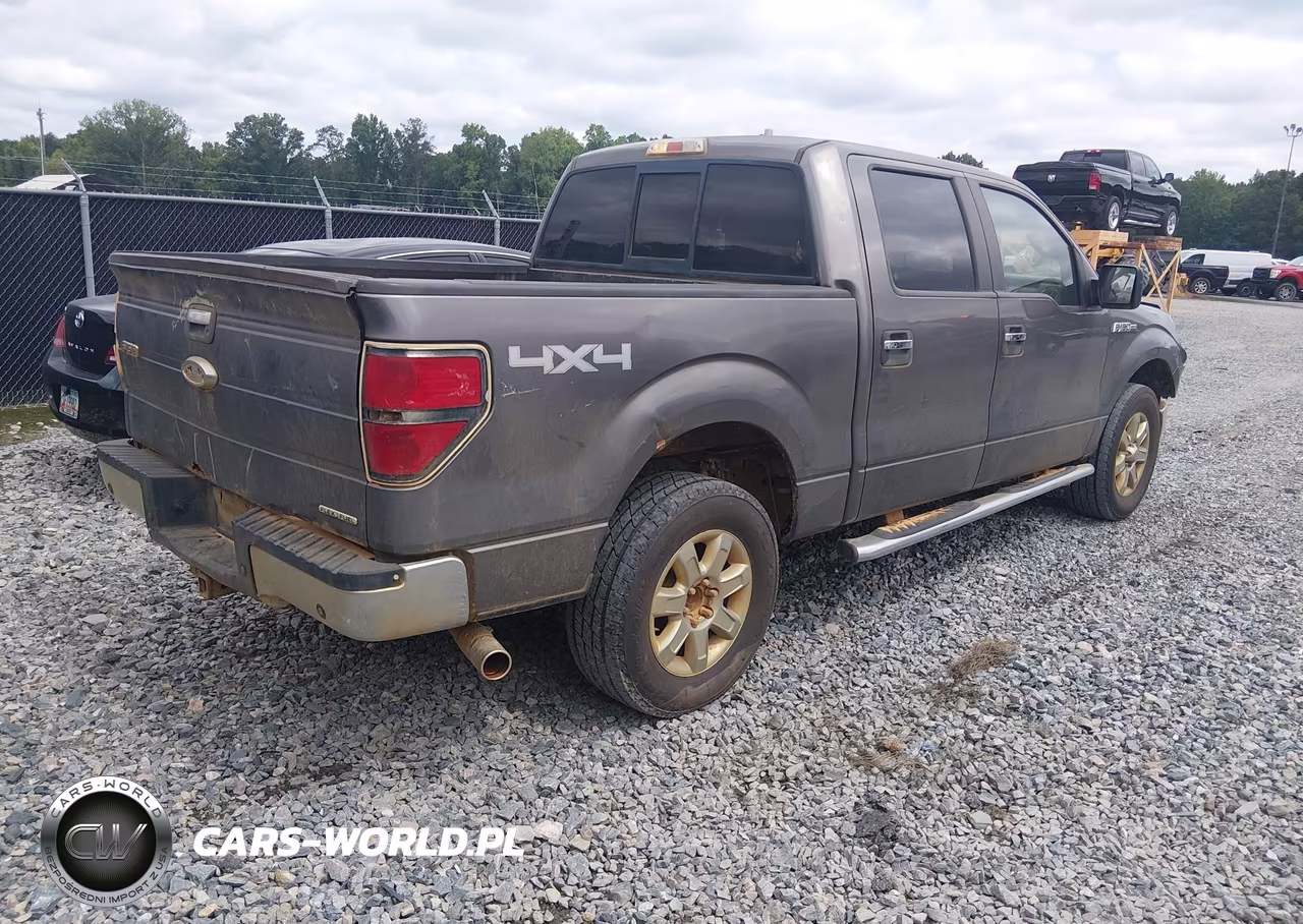 2013 Ford F-150 Xlt VIN:1FTFW1EF4DFD74643 - 4