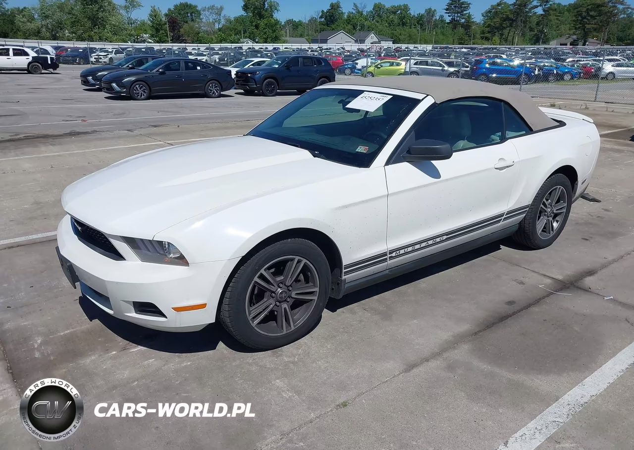 2010 Ford Mustang V6-V6 Premium VIN:1ZVBP8EN5A5166846 - 2