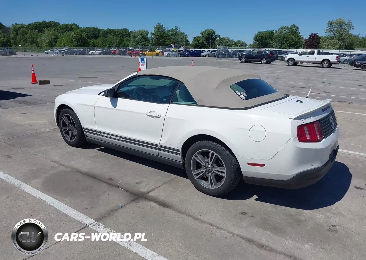 2010 Ford Mustang V6-V6 Premium VIN:1ZVBP8EN5A5166846 - 3