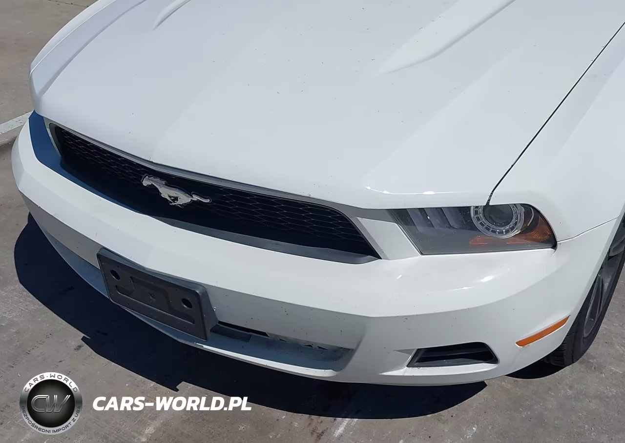 2010 Ford Mustang V6-V6 Premium VIN:1ZVBP8EN5A5166846 - 6