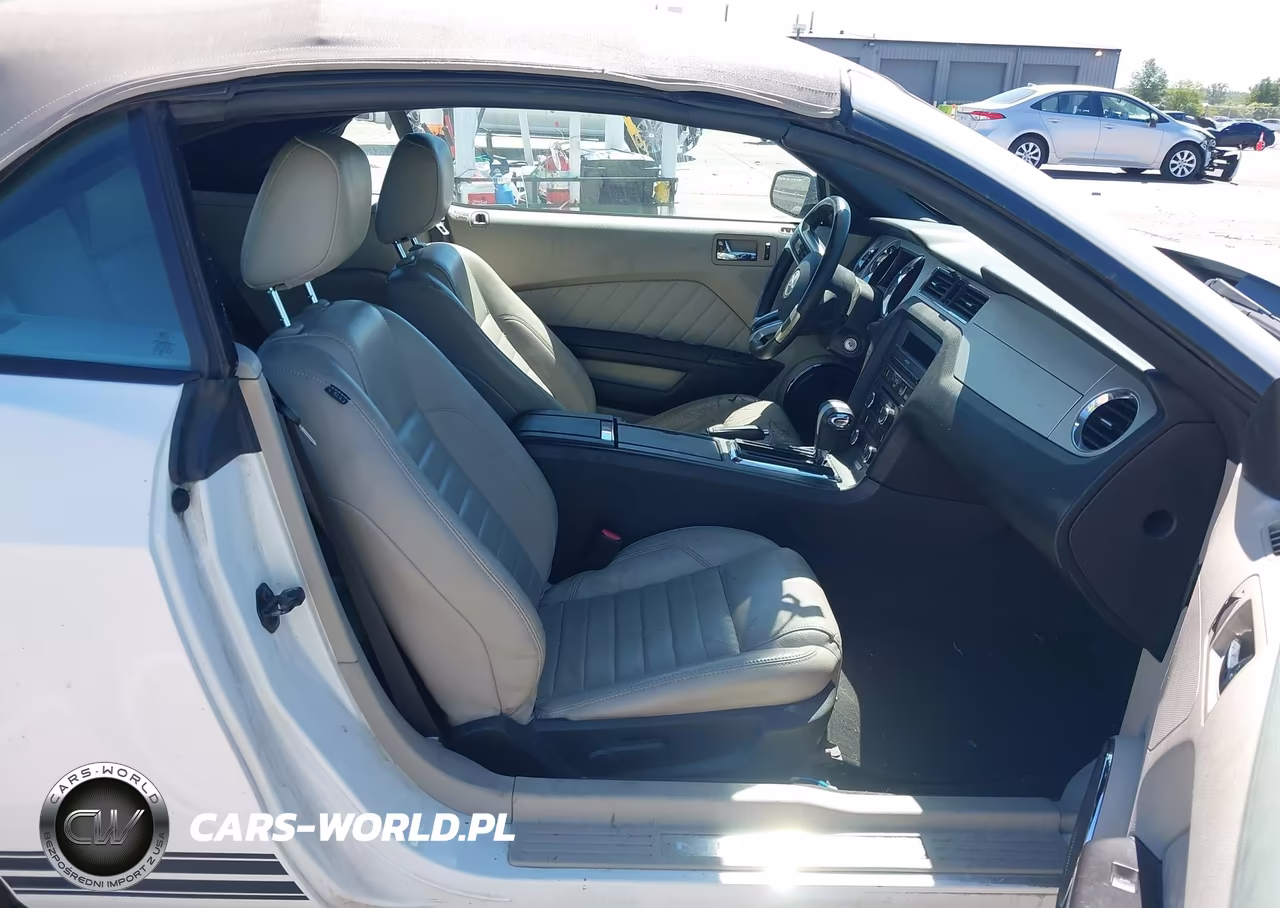 2010 Ford Mustang V6-V6 Premium VIN:1ZVBP8EN5A5166846 - 8
