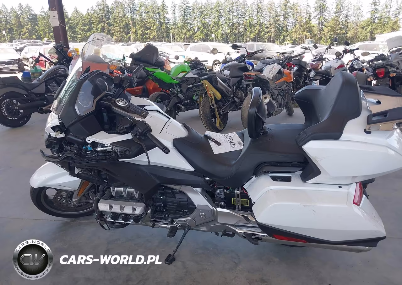 2018 Honda Gl1800 VIN:JH2SC7909JK001866 - 13