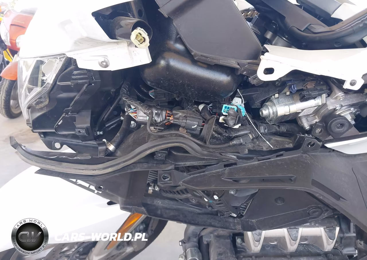 2018 Honda Gl1800 VIN:JH2SC7909JK001866 - 15