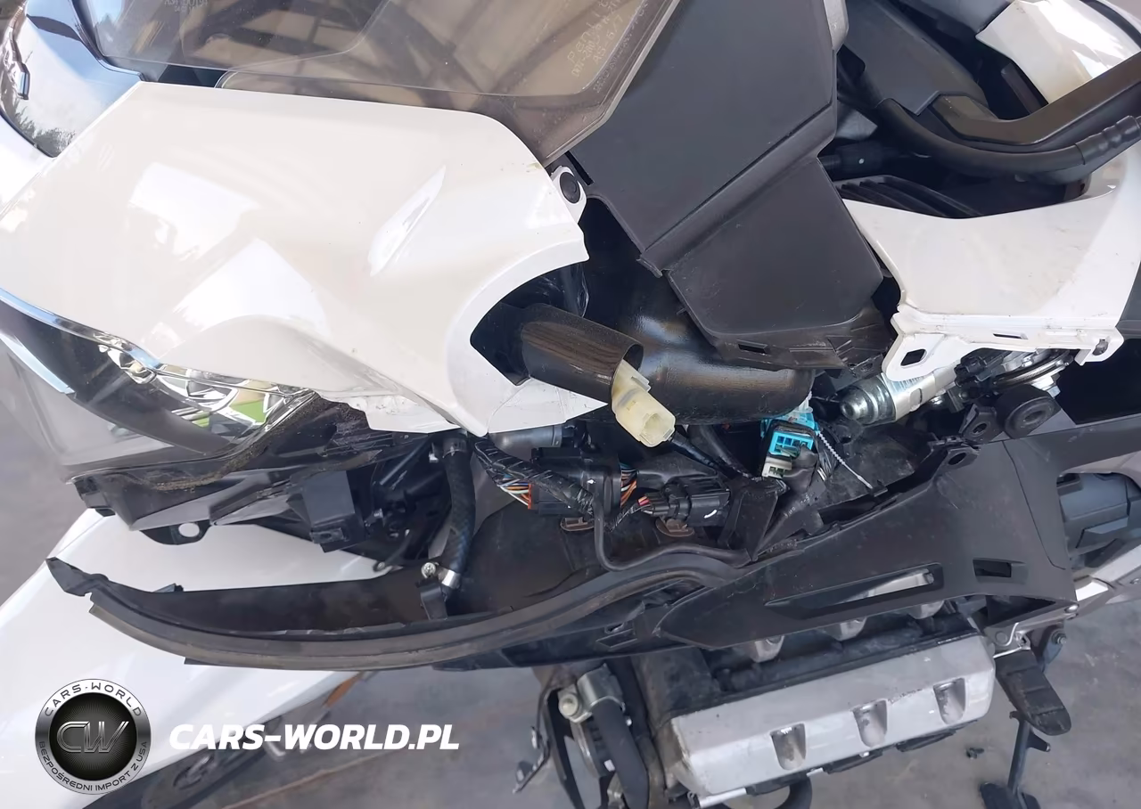 2018 Honda Gl1800 VIN:JH2SC7909JK001866 - 16