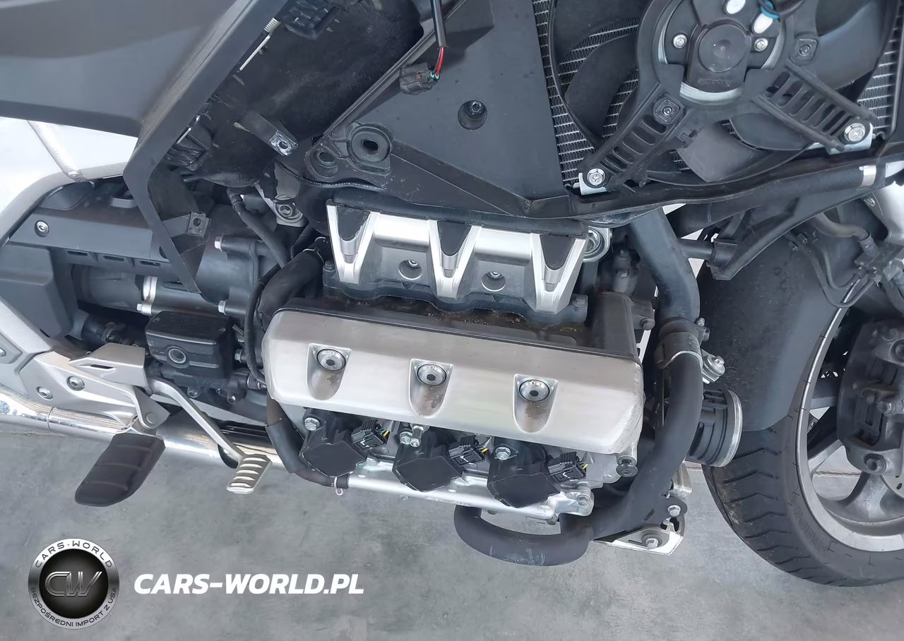 2018 Honda Gl1800 VIN:JH2SC7909JK001866 - 8