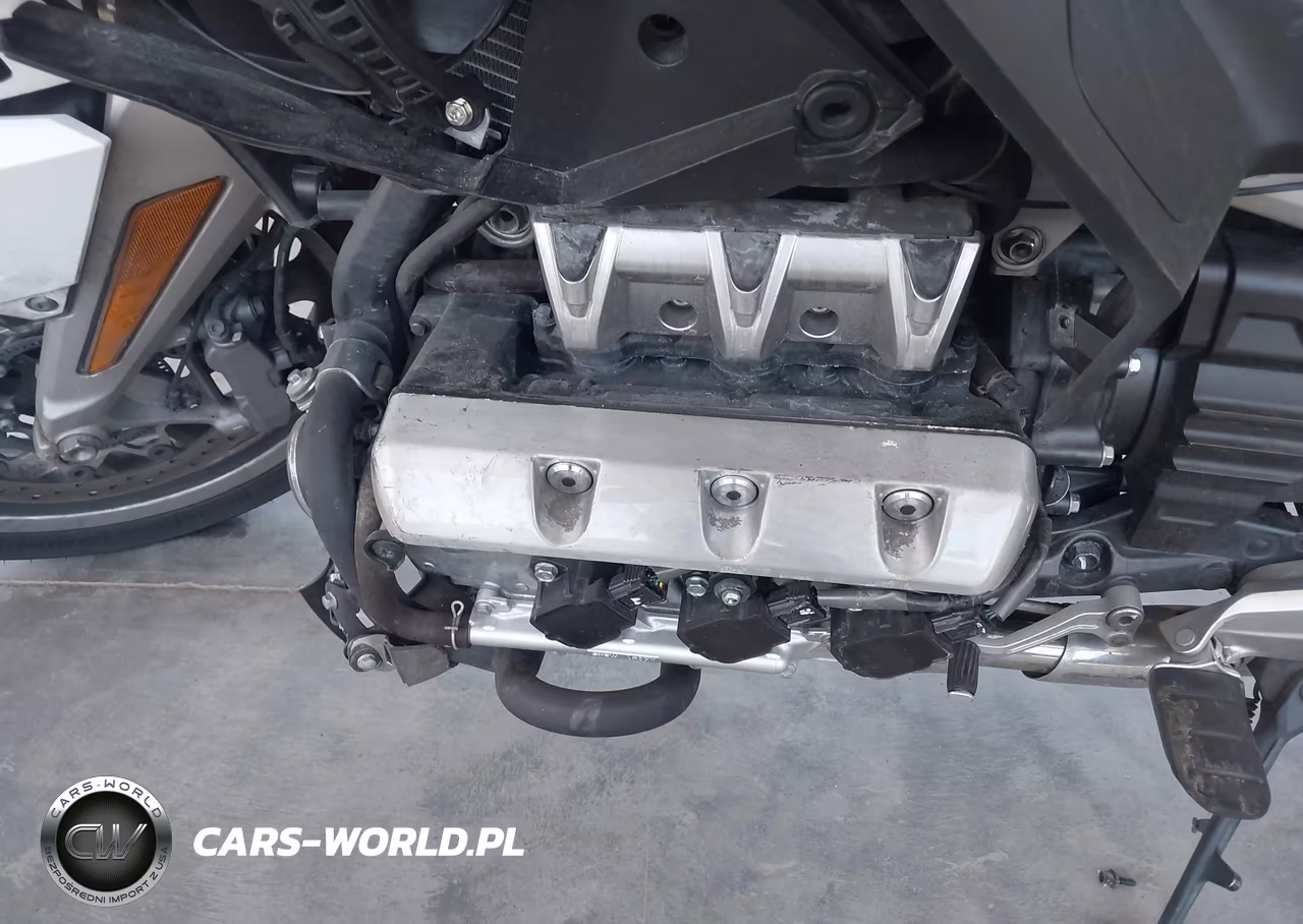 2018 Honda Gl1800 VIN:JH2SC7909JK001866 - 9