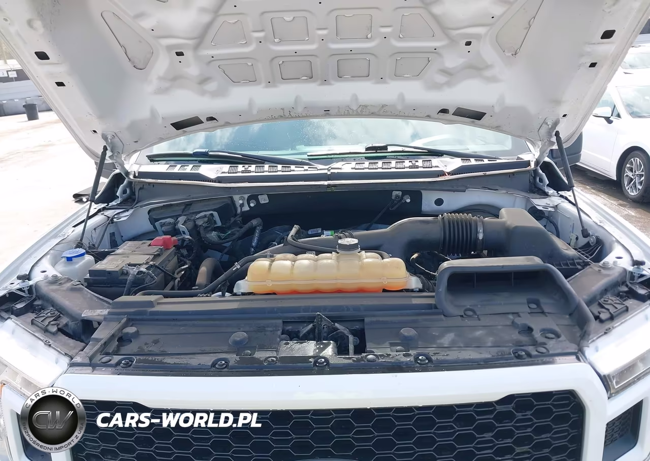 2019 Ford F-150 Xl VIN:1FTEW1CP2KKC14207 - 10
