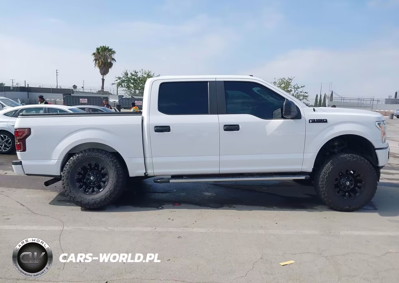 2019 Ford F-150 Xl VIN:1FTEW1CP2KKC14207 - 13