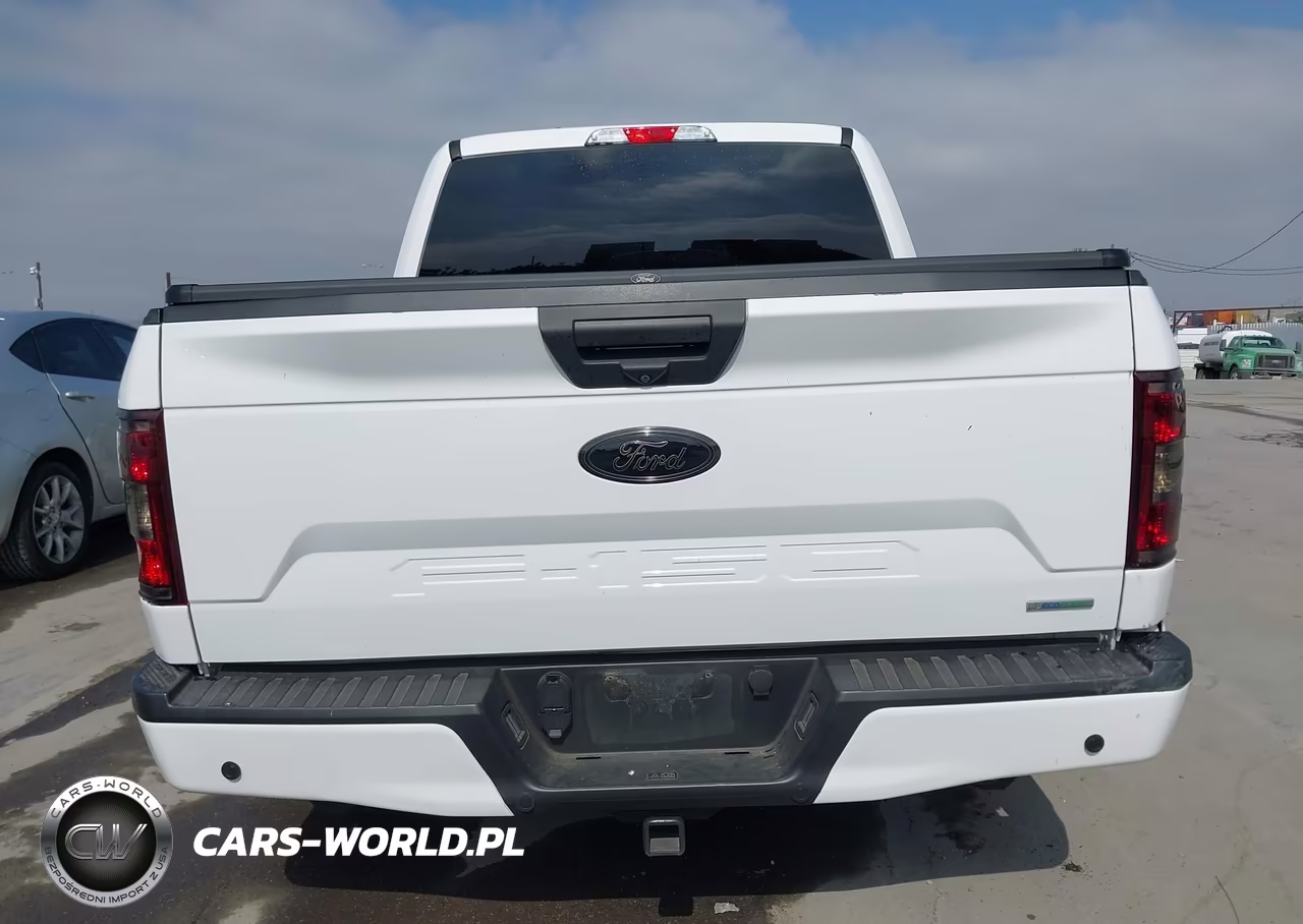 2019 Ford F-150 Xl VIN:1FTEW1CP2KKC14207 - 16
