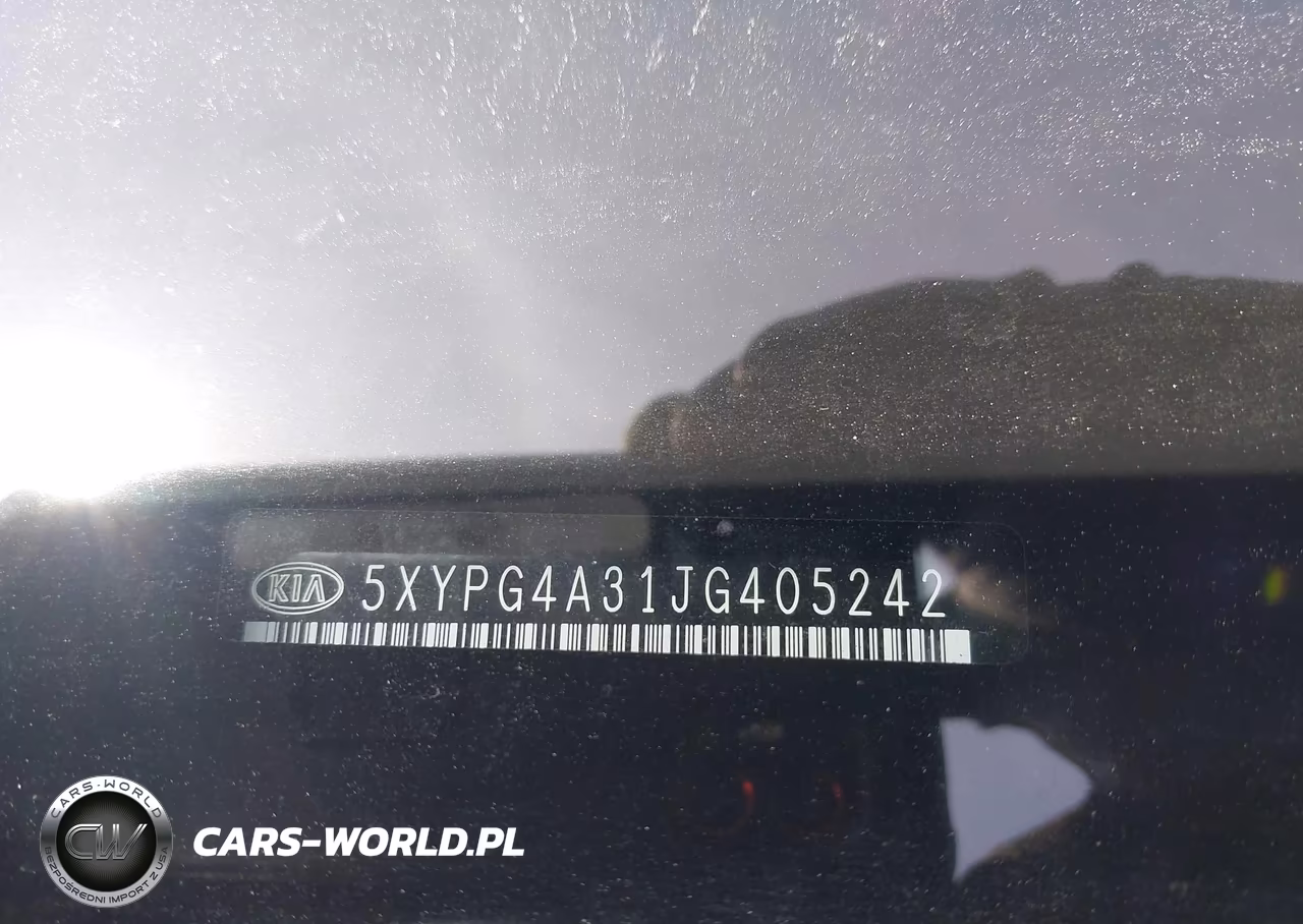2018 Kia Sorento 2.4L Lx VIN:5XYPG4A31JG405242 - 18