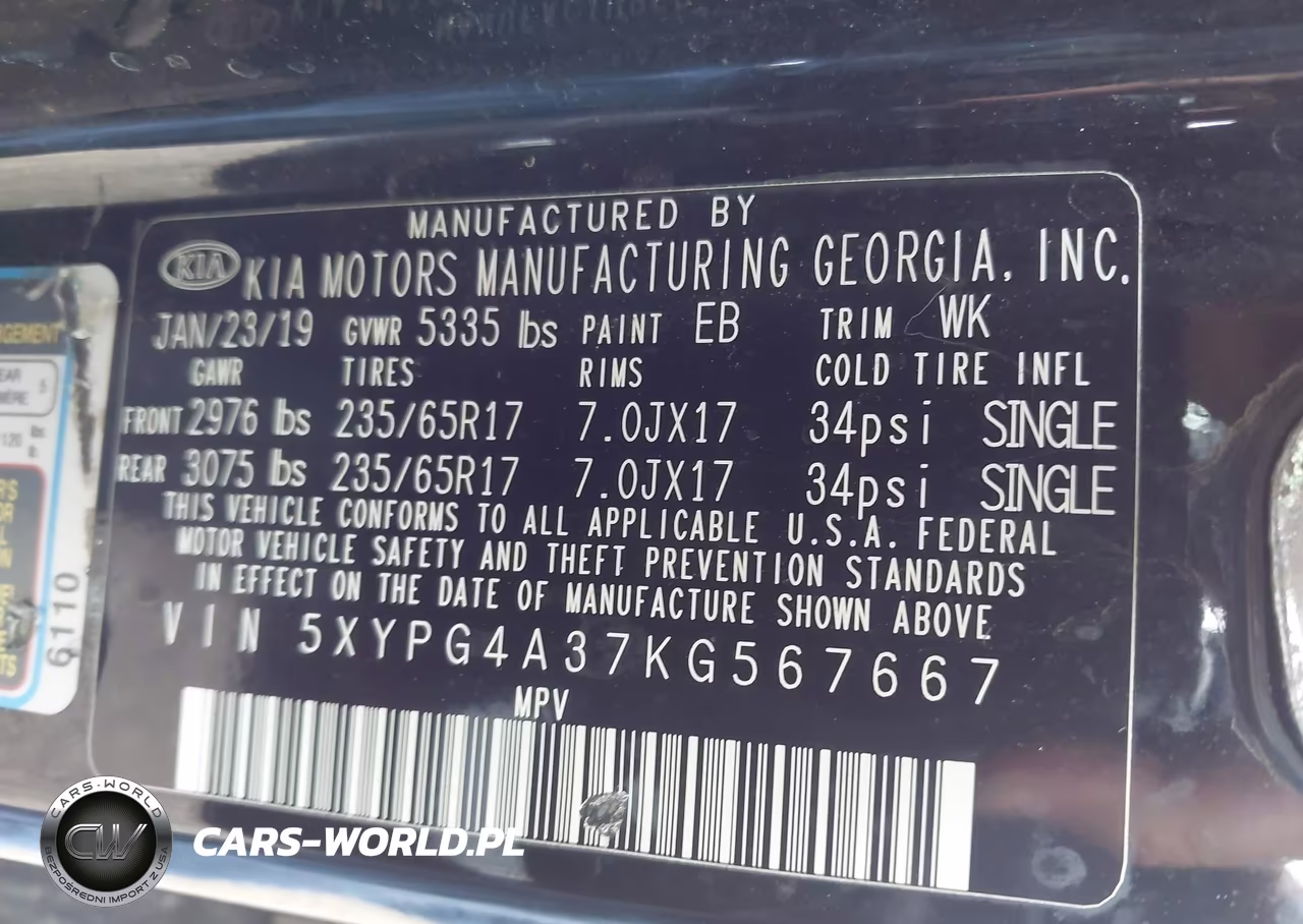 2019 Kia Sorento 2.4L Lx VIN:5XYPG4A37KG567667 - 9