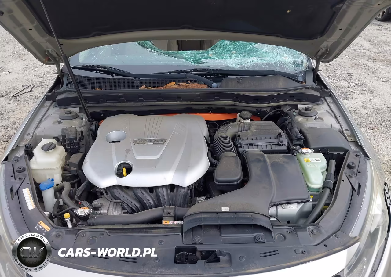 2013 Kia Optima Hybrid Lx VIN:KNAGM4AD3D5042812 - 10