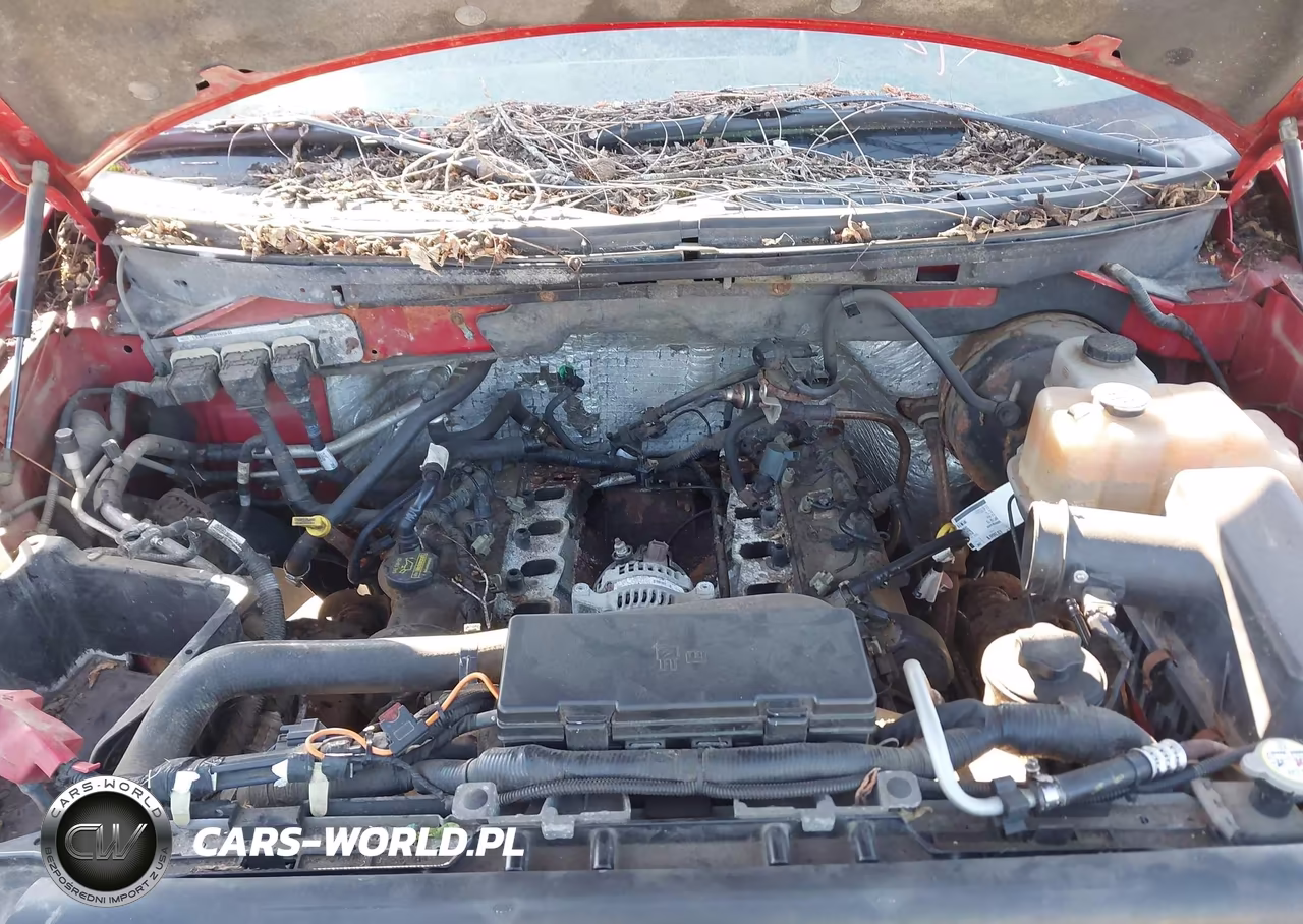2009 Ford F-150 Xl VIN:1FTRX12W09FA49087 - 10