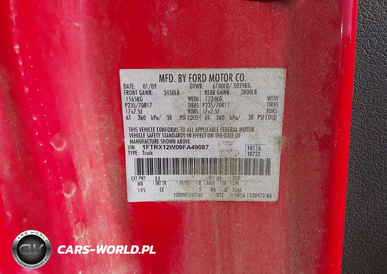 2009 Ford F-150 Xl VIN:1FTRX12W09FA49087 - 9
