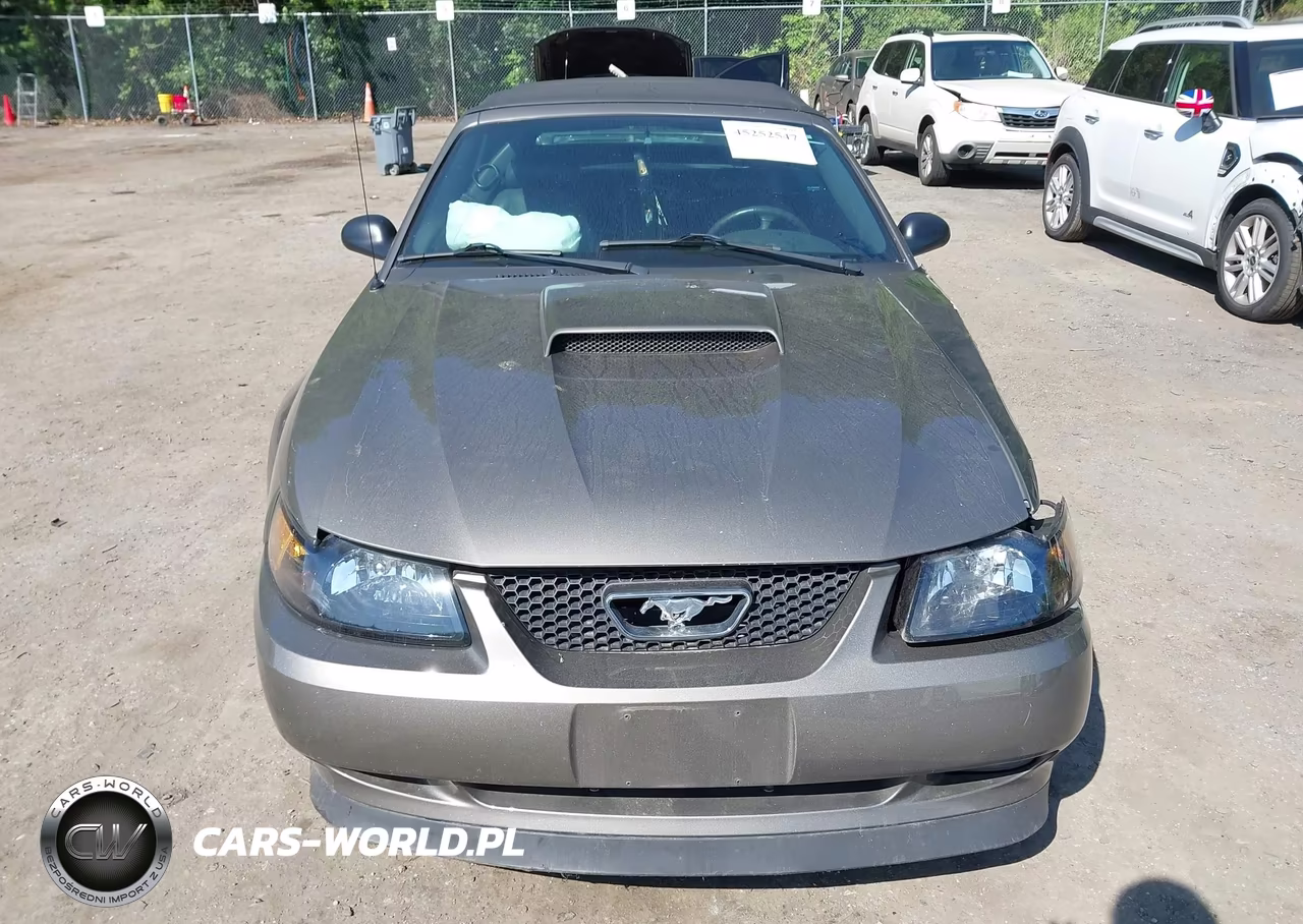 2002 Ford Mustang Gt VIN:1FAFP45X12F182929 - 12