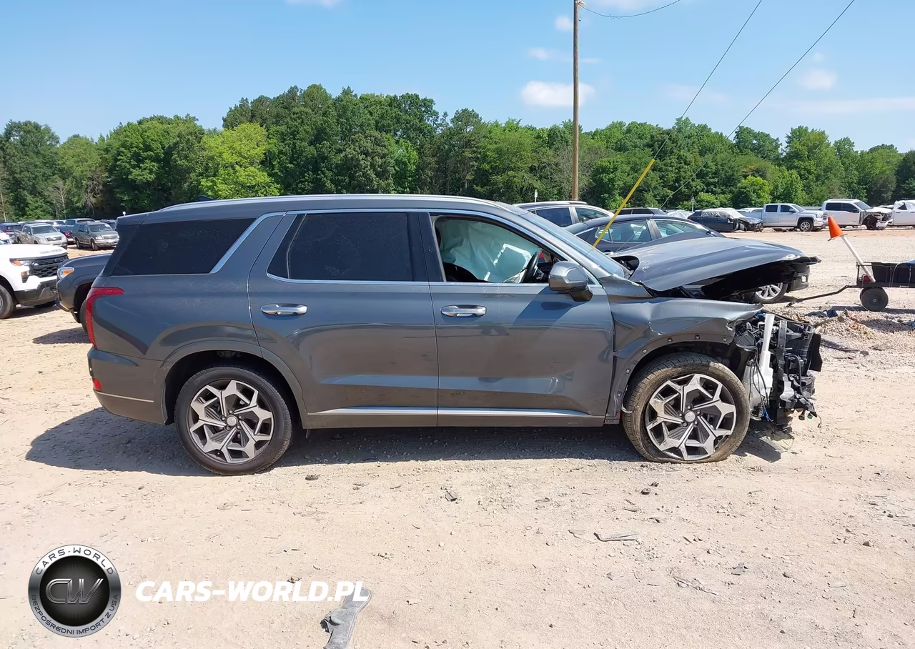 2022 Hyundai Palisade Calligraphy VIN:KM8R7DHE1NU461407 - 13