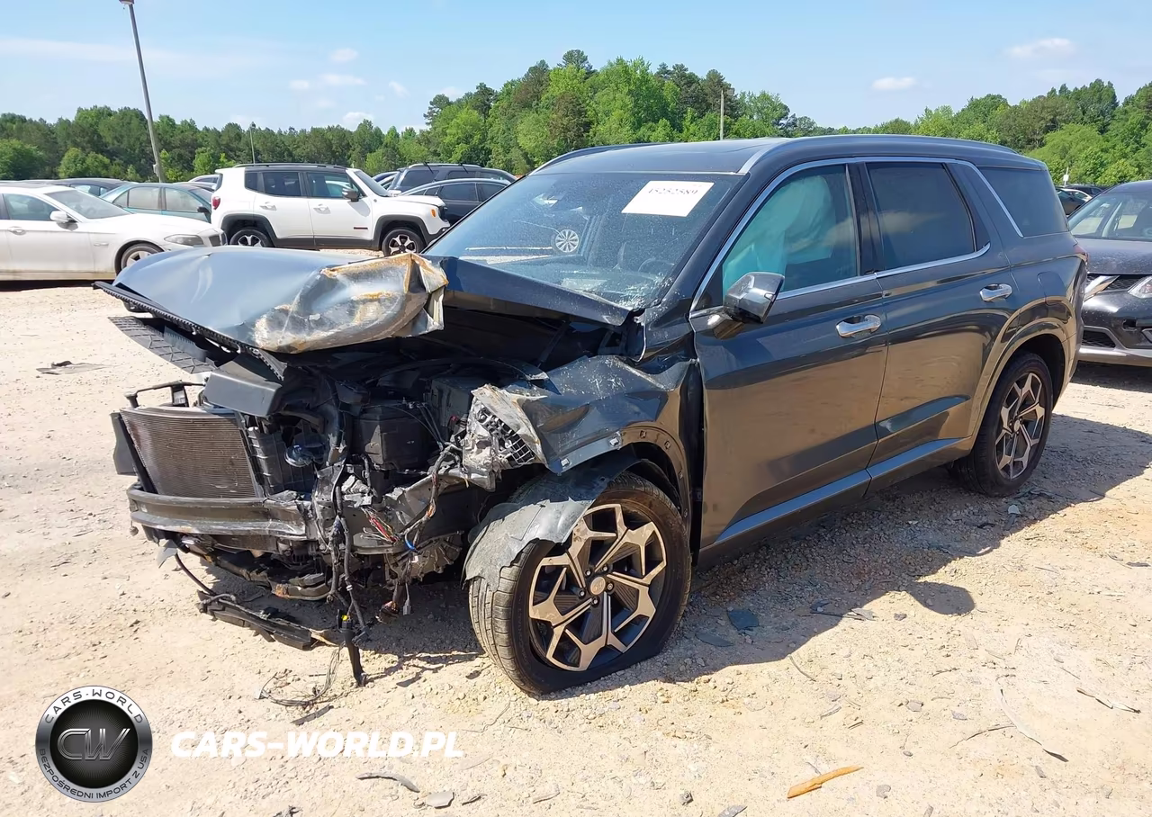 2022 Hyundai Palisade Calligraphy VIN:KM8R7DHE1NU461407 - 2
