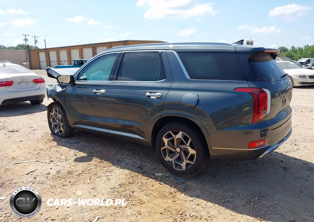 2022 Hyundai Palisade Calligraphy VIN:KM8R7DHE1NU461407 - 3