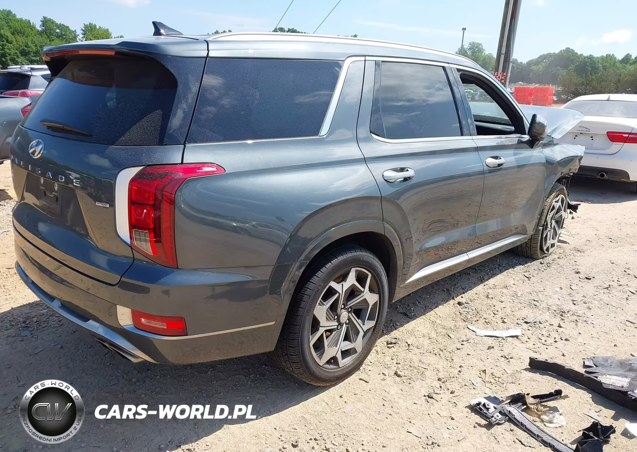 2022 Hyundai Palisade Calligraphy VIN:KM8R7DHE1NU461407 - 4