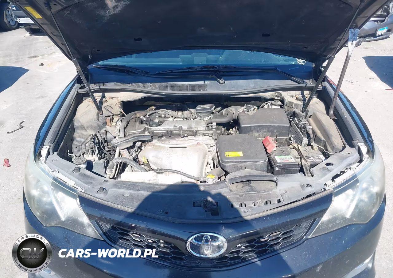 2014 Toyota Camry Se VIN:4T1BF1FK0EU789431 - 10