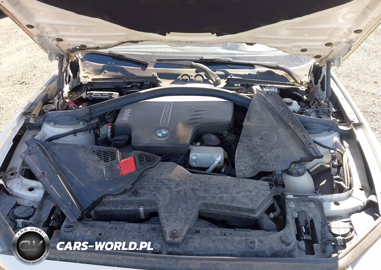 2014 BMW 228I VIN:WBA1F5C53EVV99698 - 10