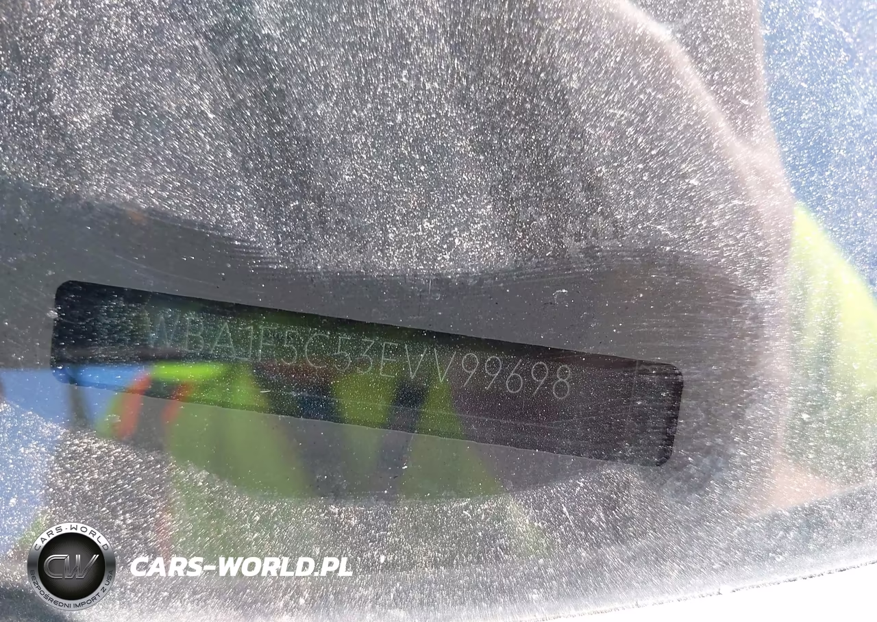 2014 BMW 228I VIN:WBA1F5C53EVV99698 - 12