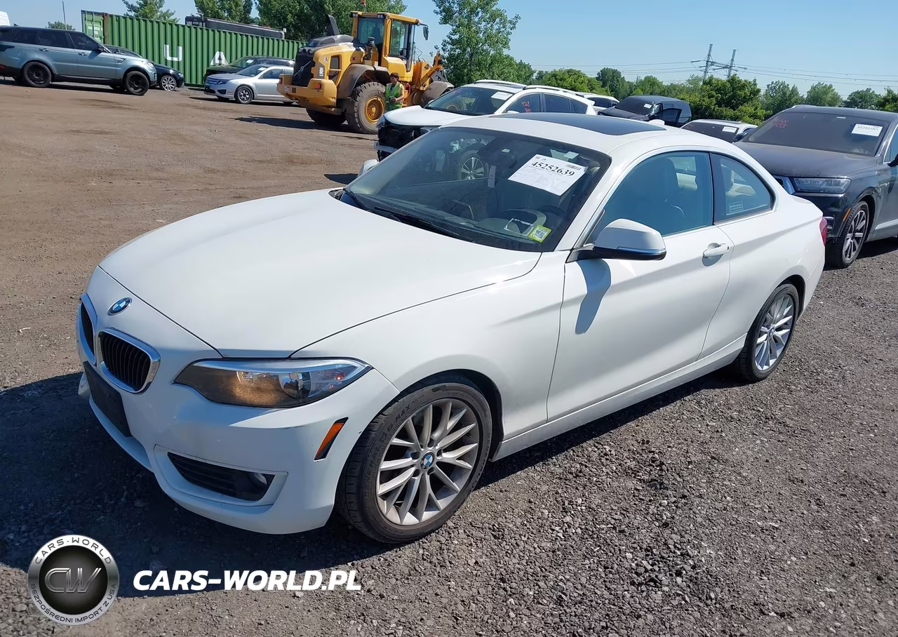 2014 BMW 228I VIN:WBA1F5C53EVV99698 - 2