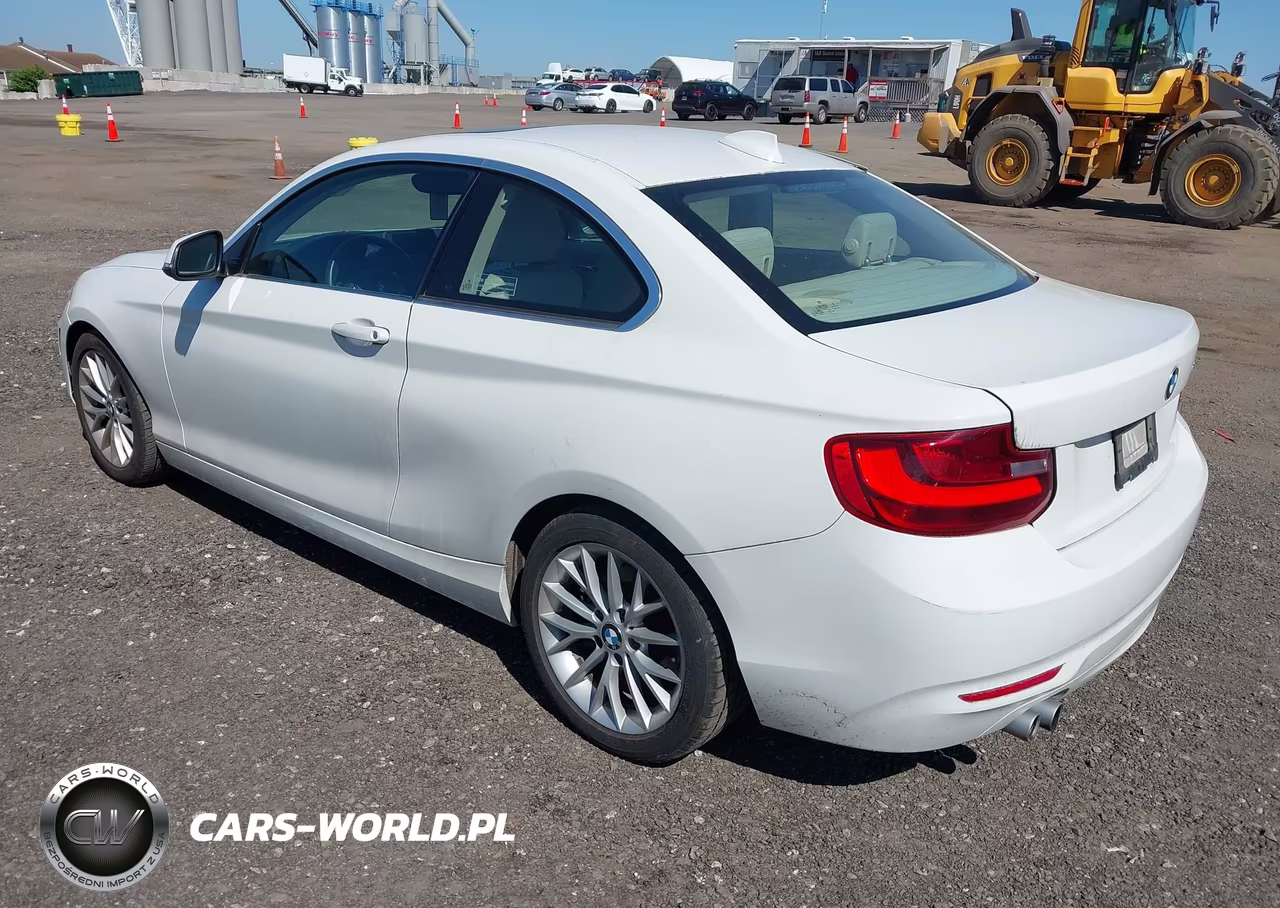 2014 BMW 228I VIN:WBA1F5C53EVV99698 - 3