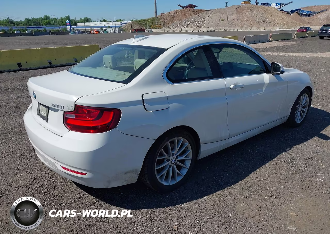 2014 BMW 228I VIN:WBA1F5C53EVV99698 - 4