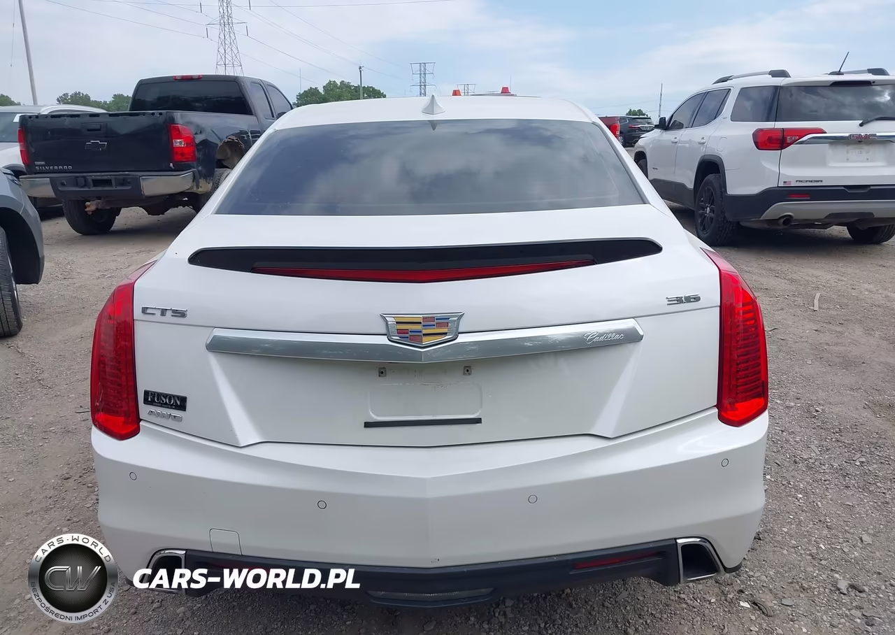 2019 Cadillac Cts Luxury VIN:1G6AX5SS7K0131475 - 17
