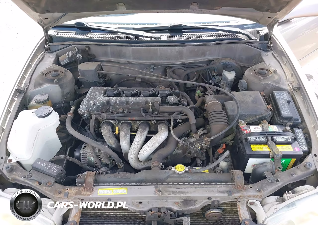 2001 Toyota Corolla Le VIN:1NXBR12E81Z525875 - 10