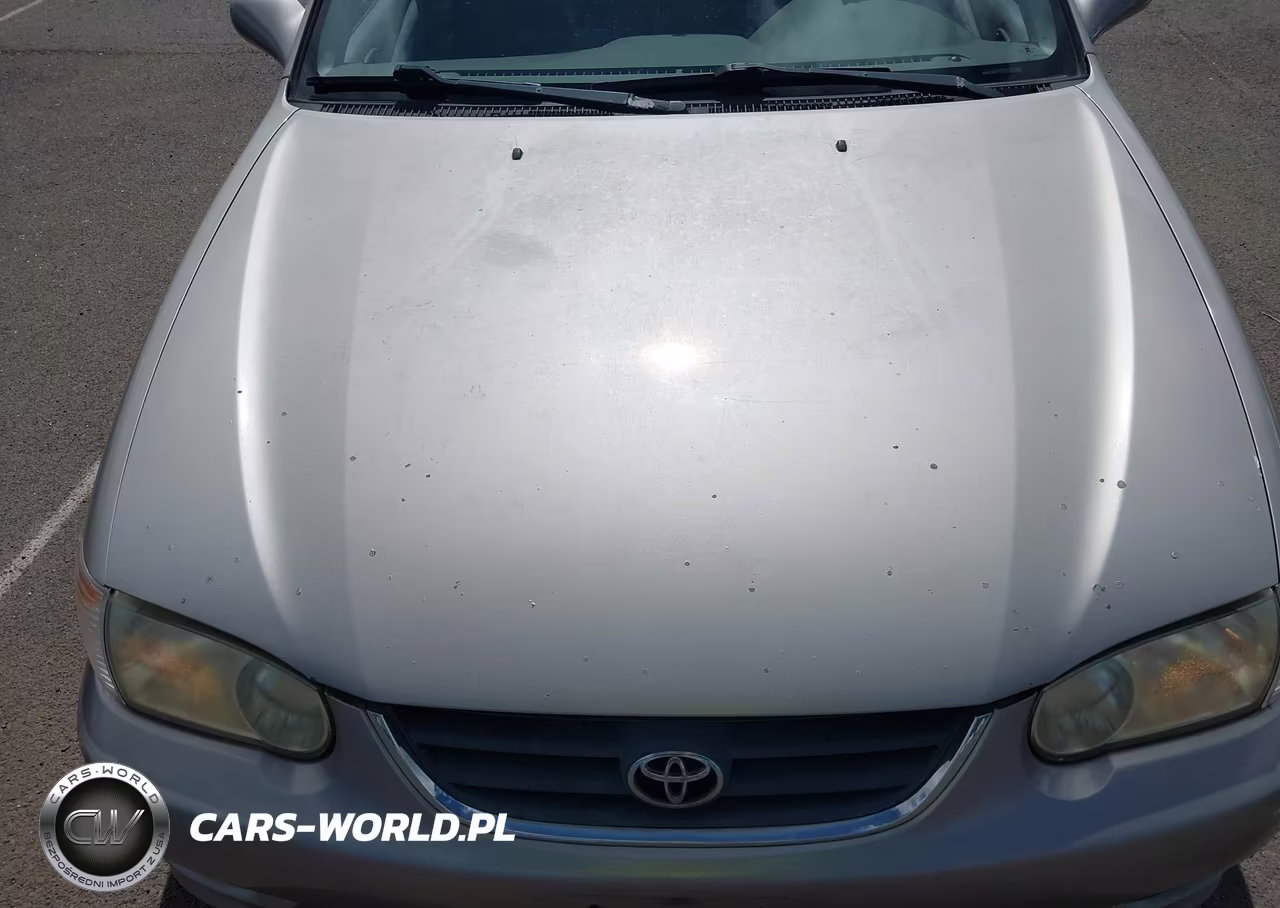 2001 Toyota Corolla Le VIN:1NXBR12E81Z525875 - 6