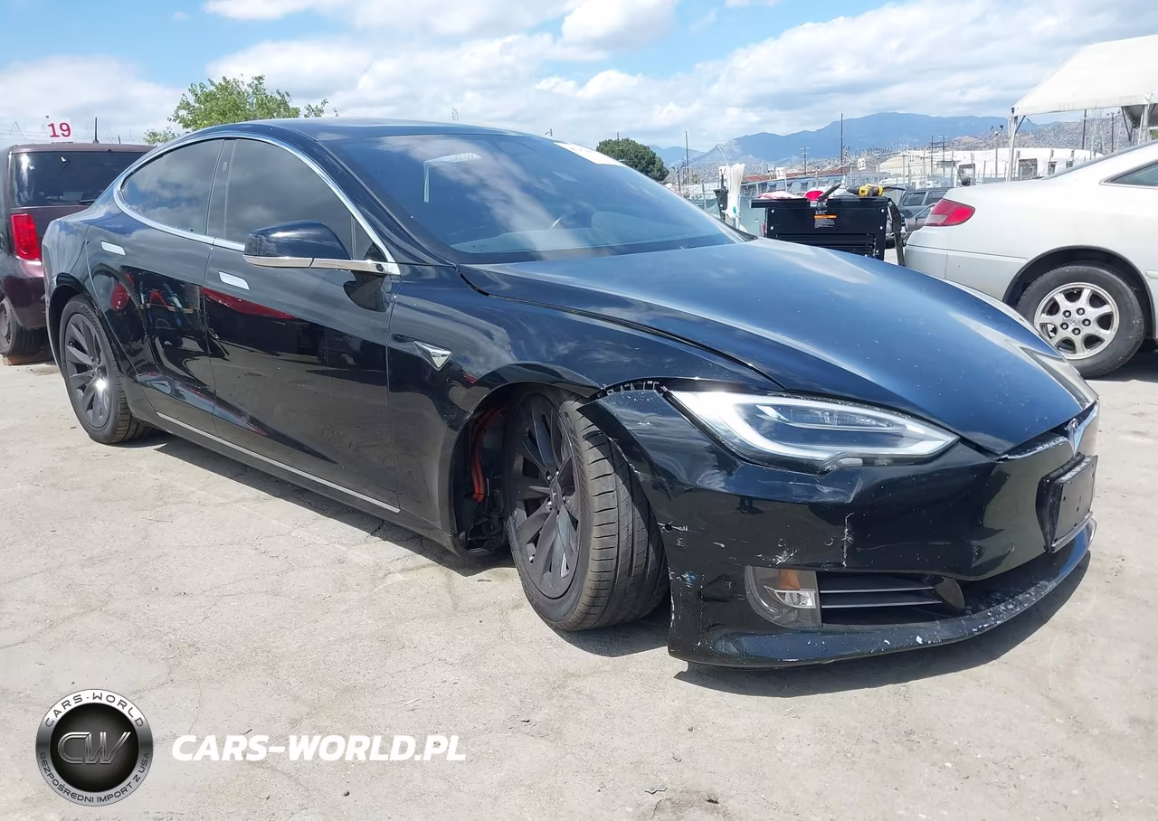 2019 Tesla Model S 100D-75D-Long Range-Standard Range VIN:5YJSA1E29KF306592 - 1