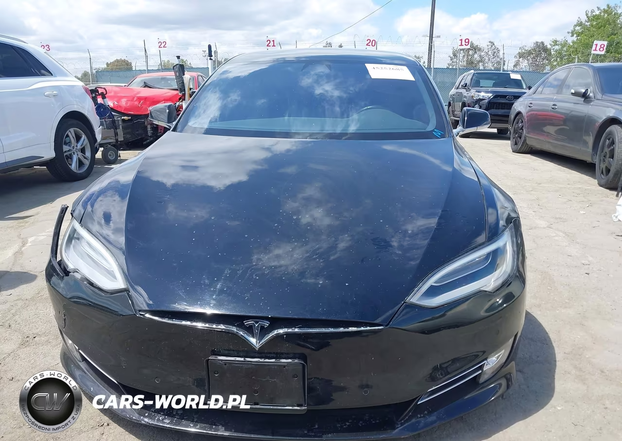 2019 Tesla Model S 100D-75D-Long Range-Standard Range VIN:5YJSA1E29KF306592 - 12