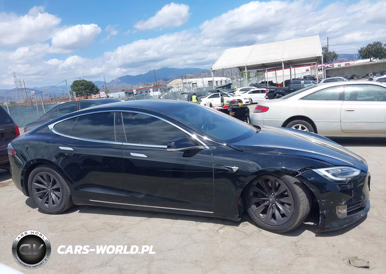 2019 Tesla Model S 100D-75D-Long Range-Standard Range VIN:5YJSA1E29KF306592 - 13