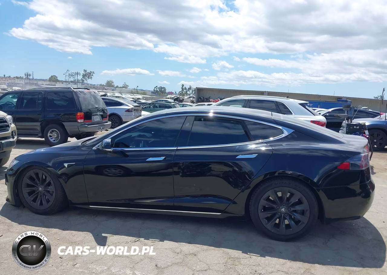 2019 Tesla Model S 100D-75D-Long Range-Standard Range VIN:5YJSA1E29KF306592 - 14