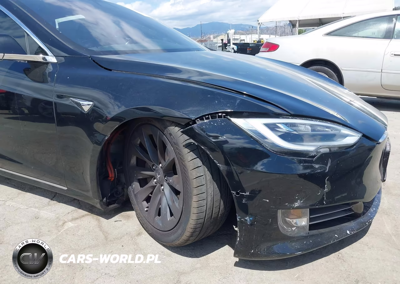 2019 Tesla Model S 100D-75D-Long Range-Standard Range VIN:5YJSA1E29KF306592 - 6