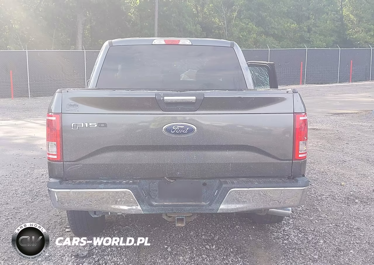 2017 Ford F-150 Xlt VIN:1FTEW1CPXHFA57317 - 16