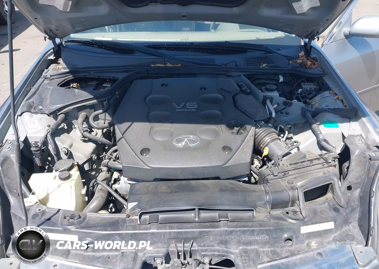 2004 Infiniti G35 VIN:JNKCV51E34M619064 - 10