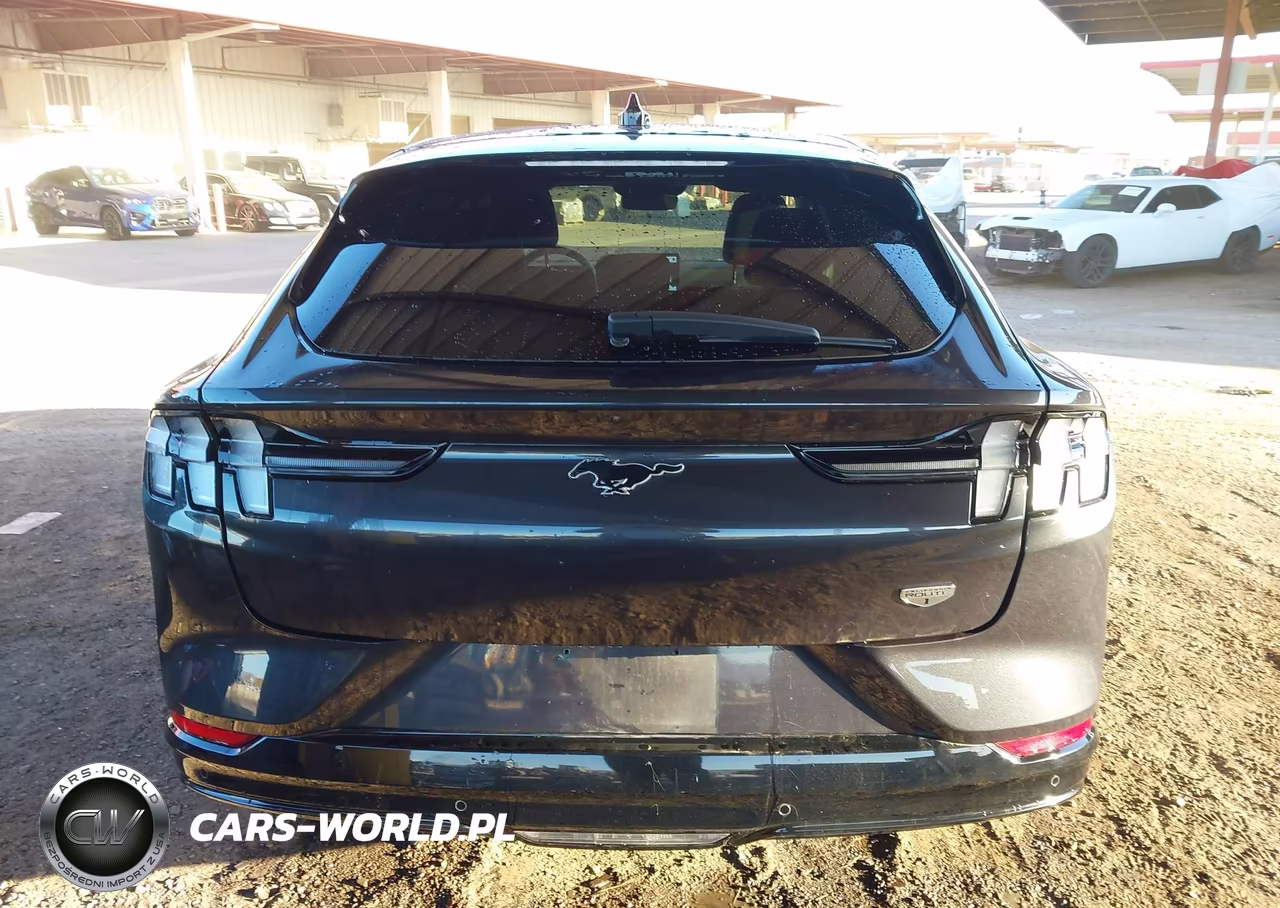 2022 Ford Mustang Mach-E California Route 1 VIN:3FMTK2R76NMA60349 - 17