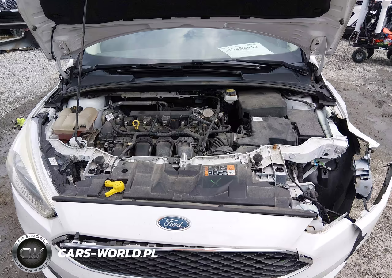 2017 Ford Focus Se VIN:1FADP3F21HL322119 - 10