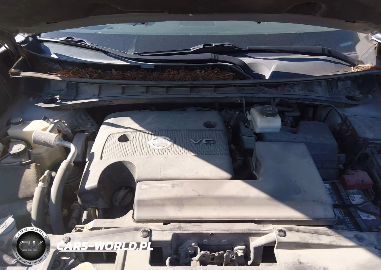 2017 Nissan Murano Sv VIN:5N1AZ2MG1HN163196 - 10